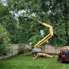 Best Tree Mulching  in Ocean Gate, NJ